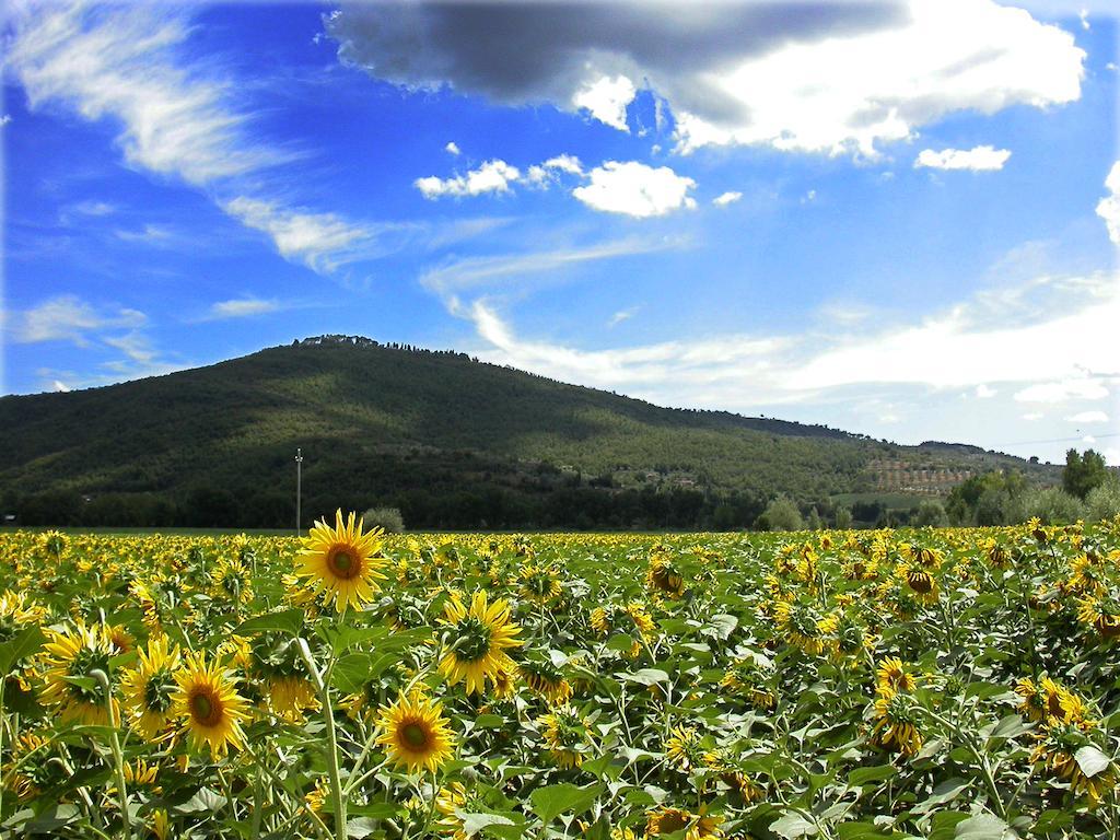 Holiday Home Il Moro Novo Cortona Esterno foto