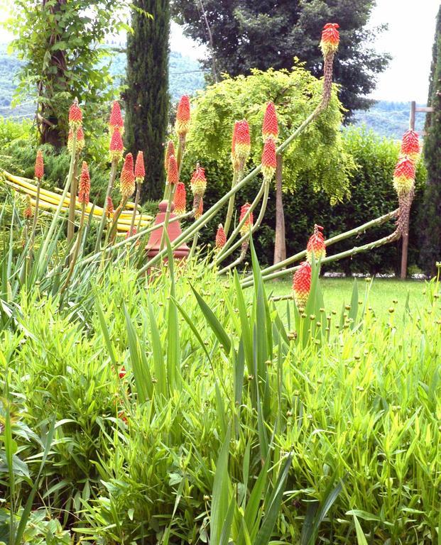 Holiday Home Il Moro Novo Cortona Esterno foto