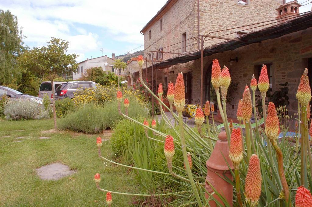 Holiday Home Il Moro Novo Cortona Esterno foto